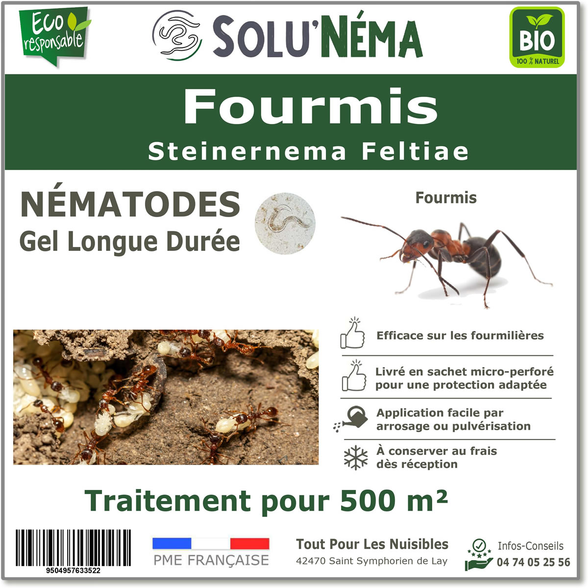 SOLUNEMA - Fourmis - Nématodes  (SF)