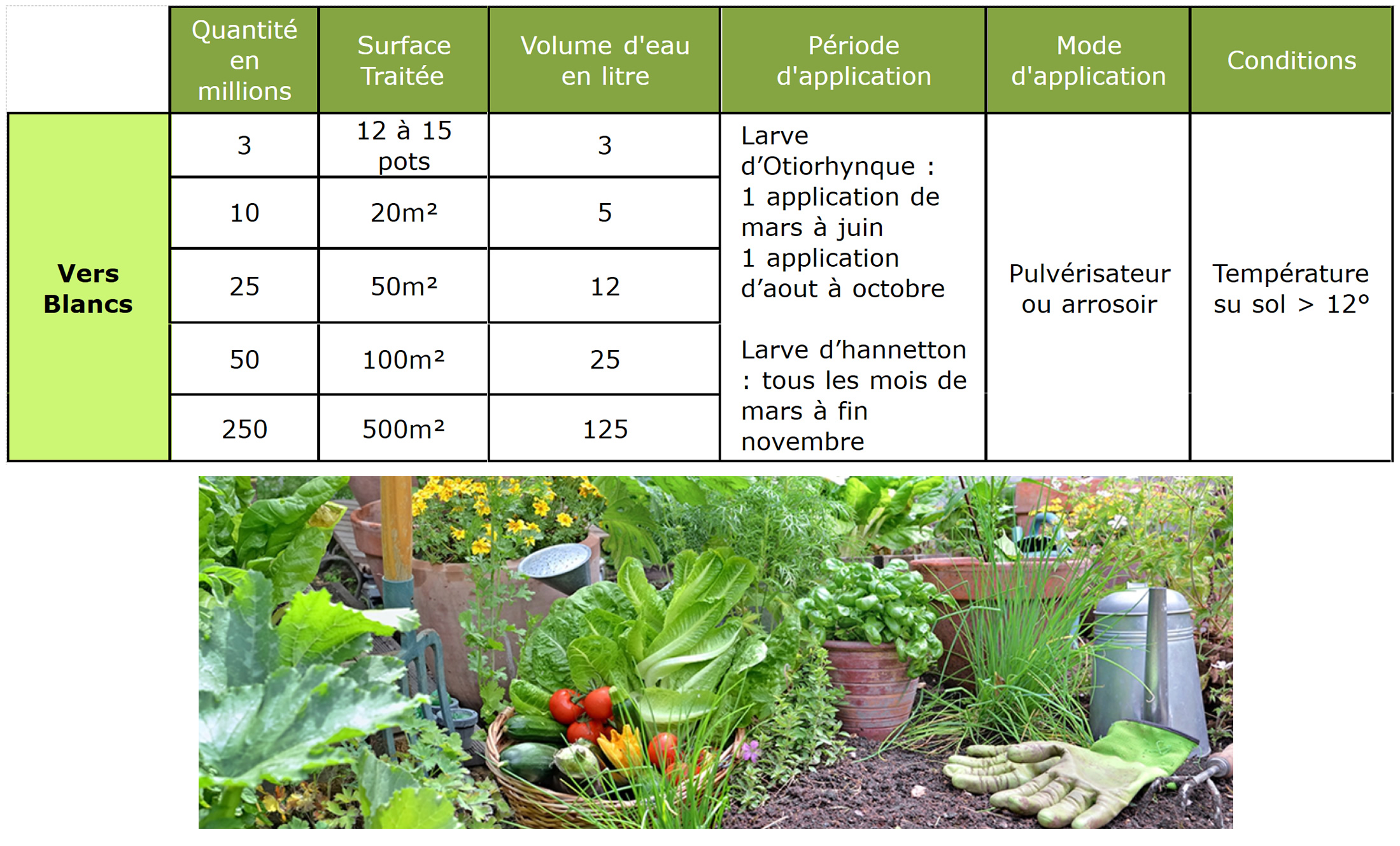 Traitement Gazon/pelouse contre vers blancs, otiorhynque et hanneton - Nématodes (HB)