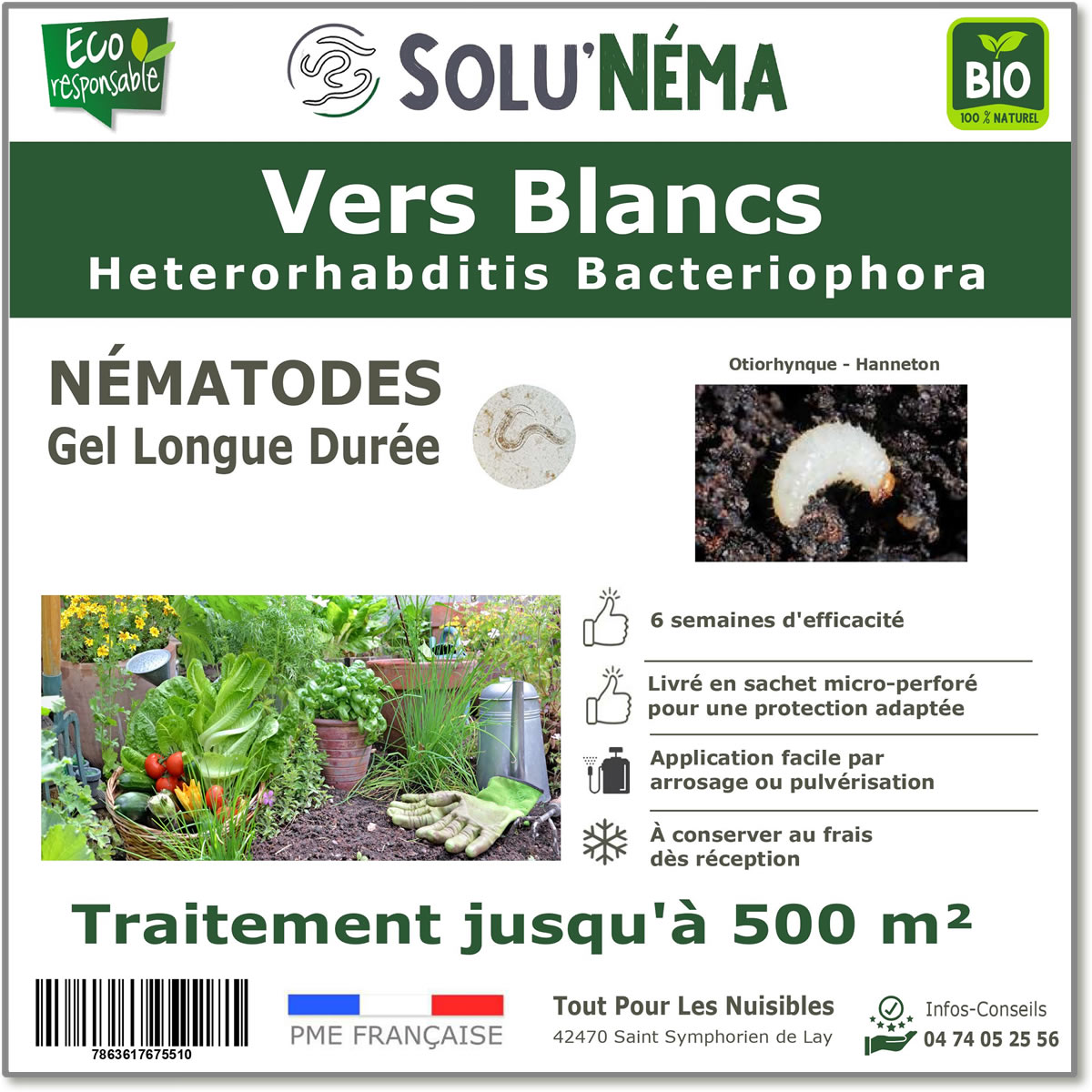 SOLUNEMA - Traitement contre les vers blancs (otiorhynque,hanneton) - Nématodes (HB)